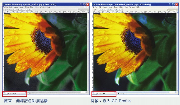 獨家嵌入ICC Profile