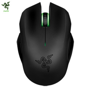 八岐大蛇 450?cb=20240703102339&path-